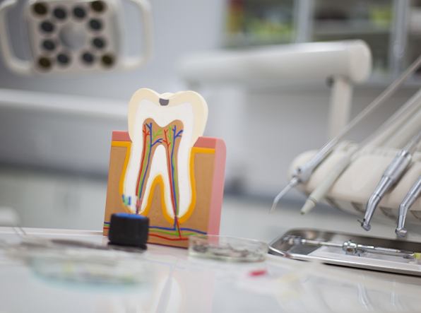 Wooden tooth and colorful roots